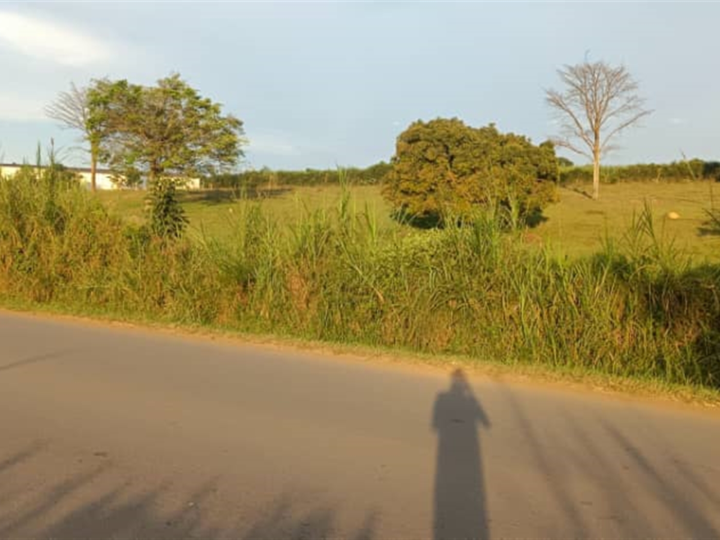 Commercial Land for sale in Matugga Wakiso