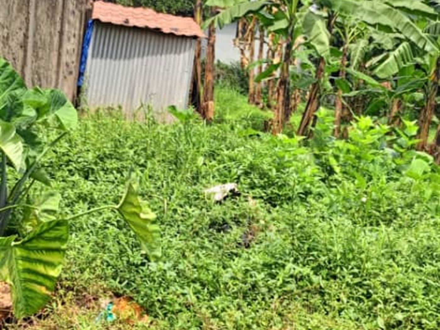 Residential Land for sale in Kisaasi Wakiso