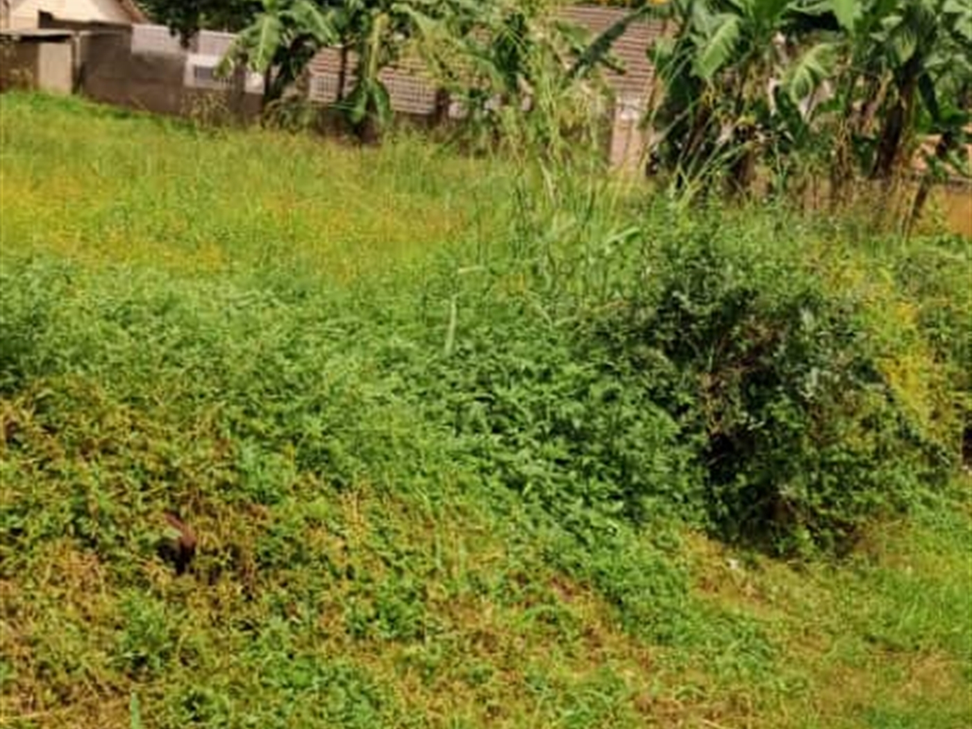 Residential Land for sale in Kisaasi Wakiso