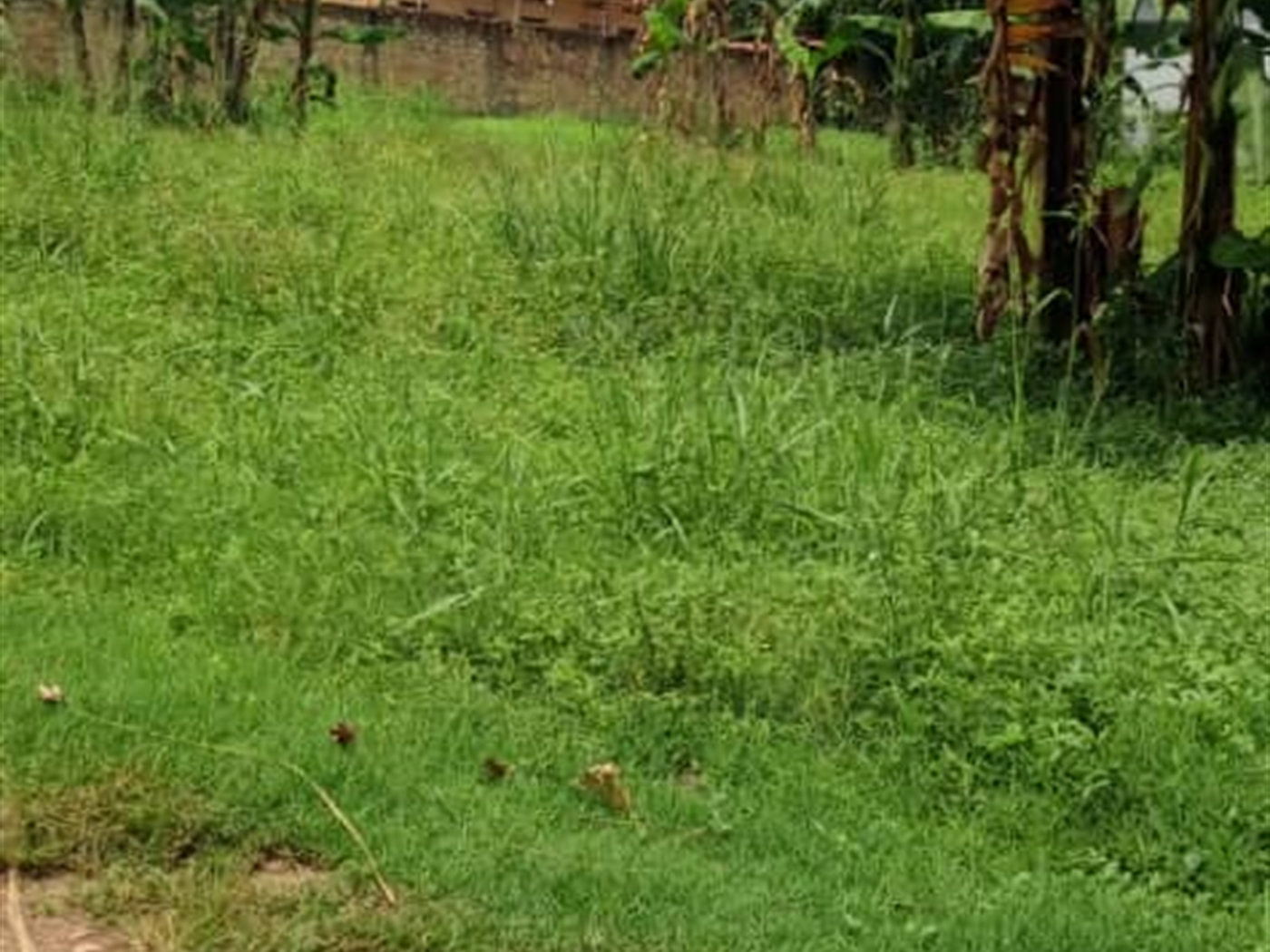 Residential Land for sale in Kisaasi Wakiso