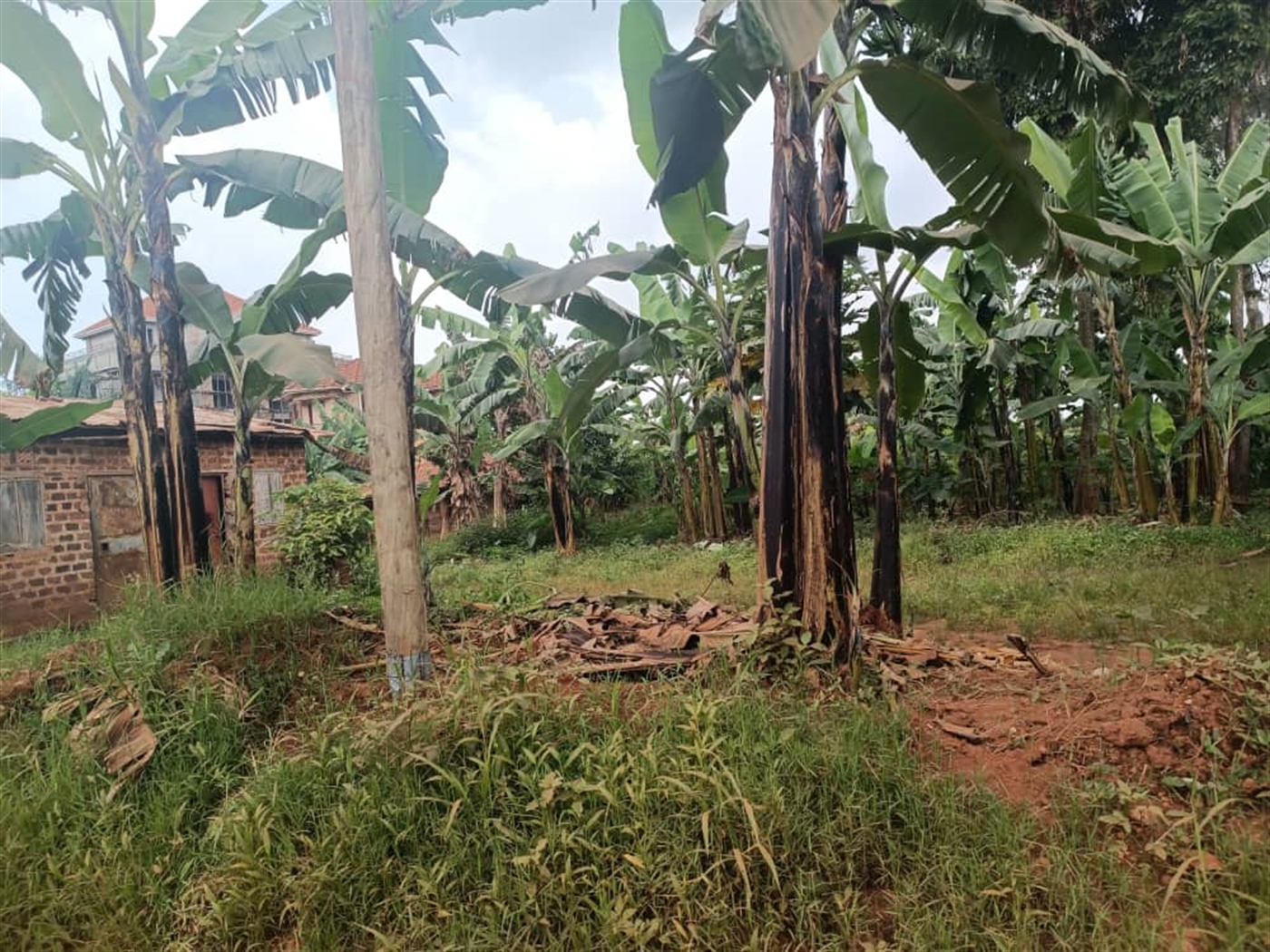 Residential Land for sale in Kira Wakiso