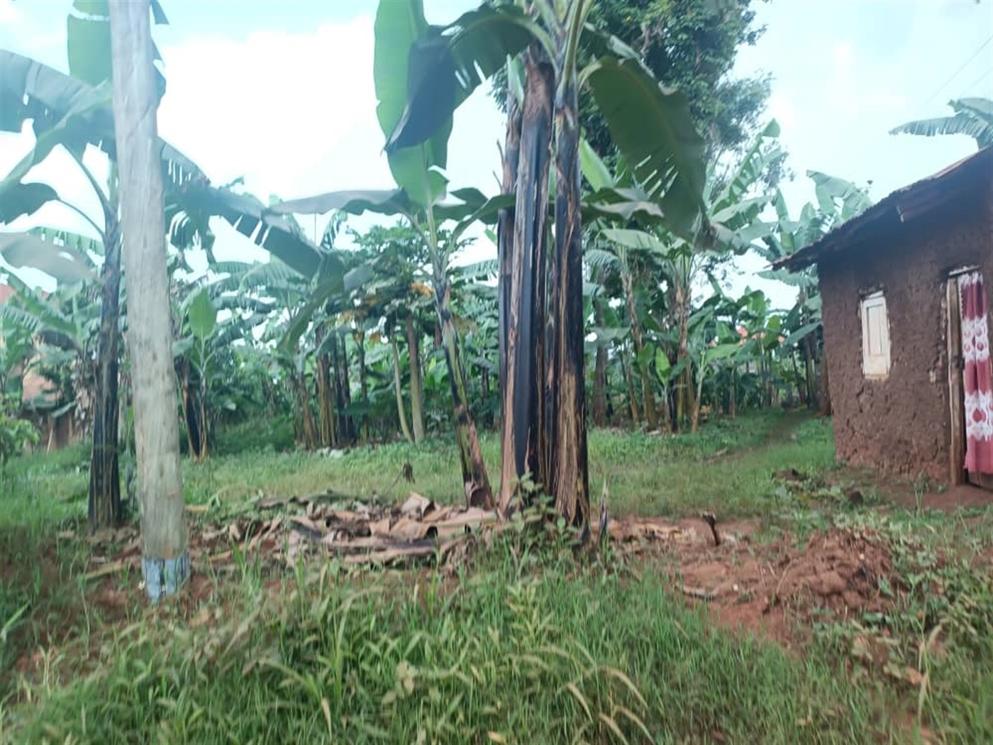 Residential Land for sale in Kira Wakiso