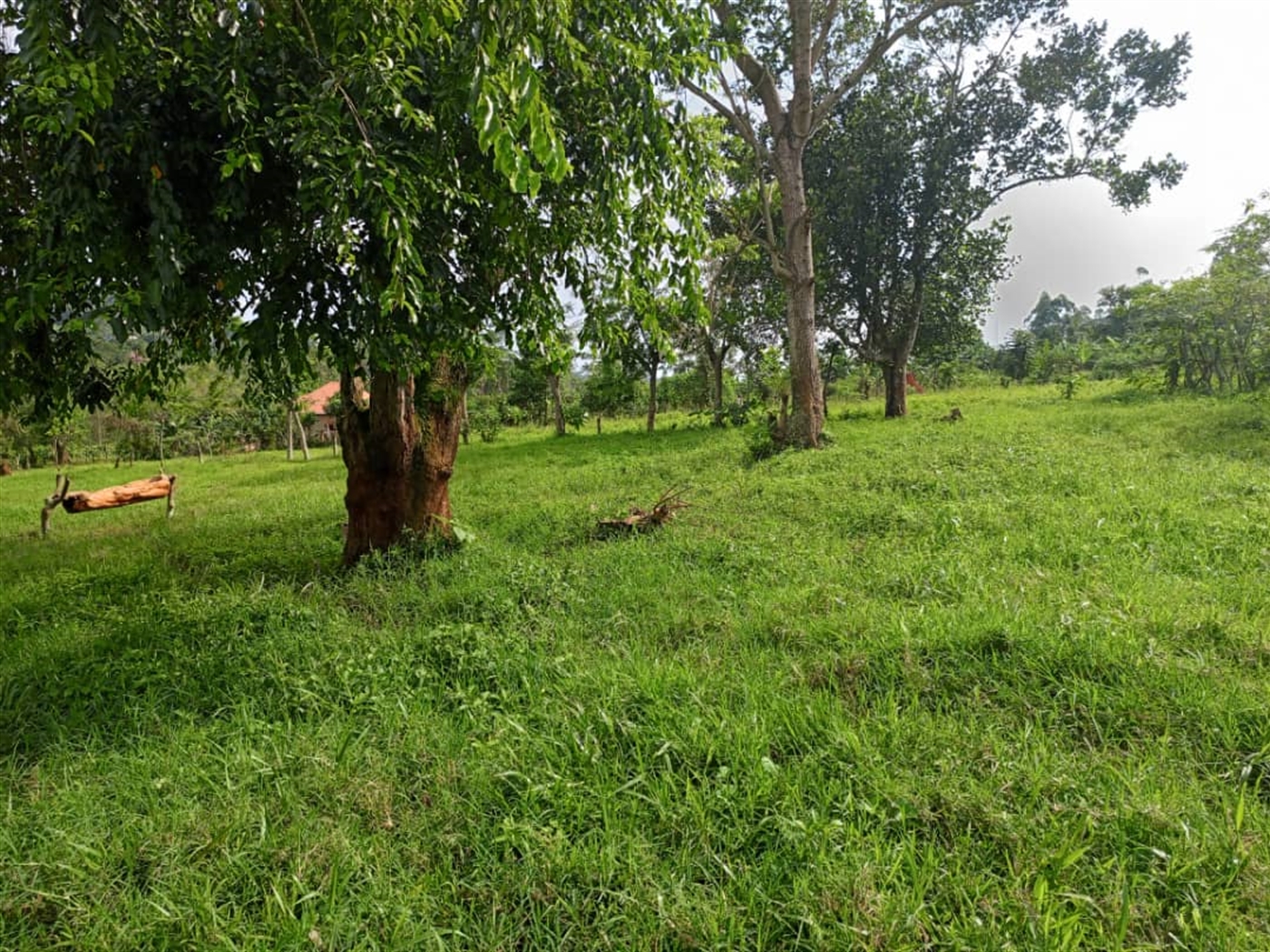 Residential Land for sale in Mubango Wakiso