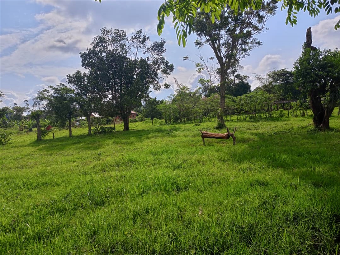 Residential Land for sale in Mubango Wakiso