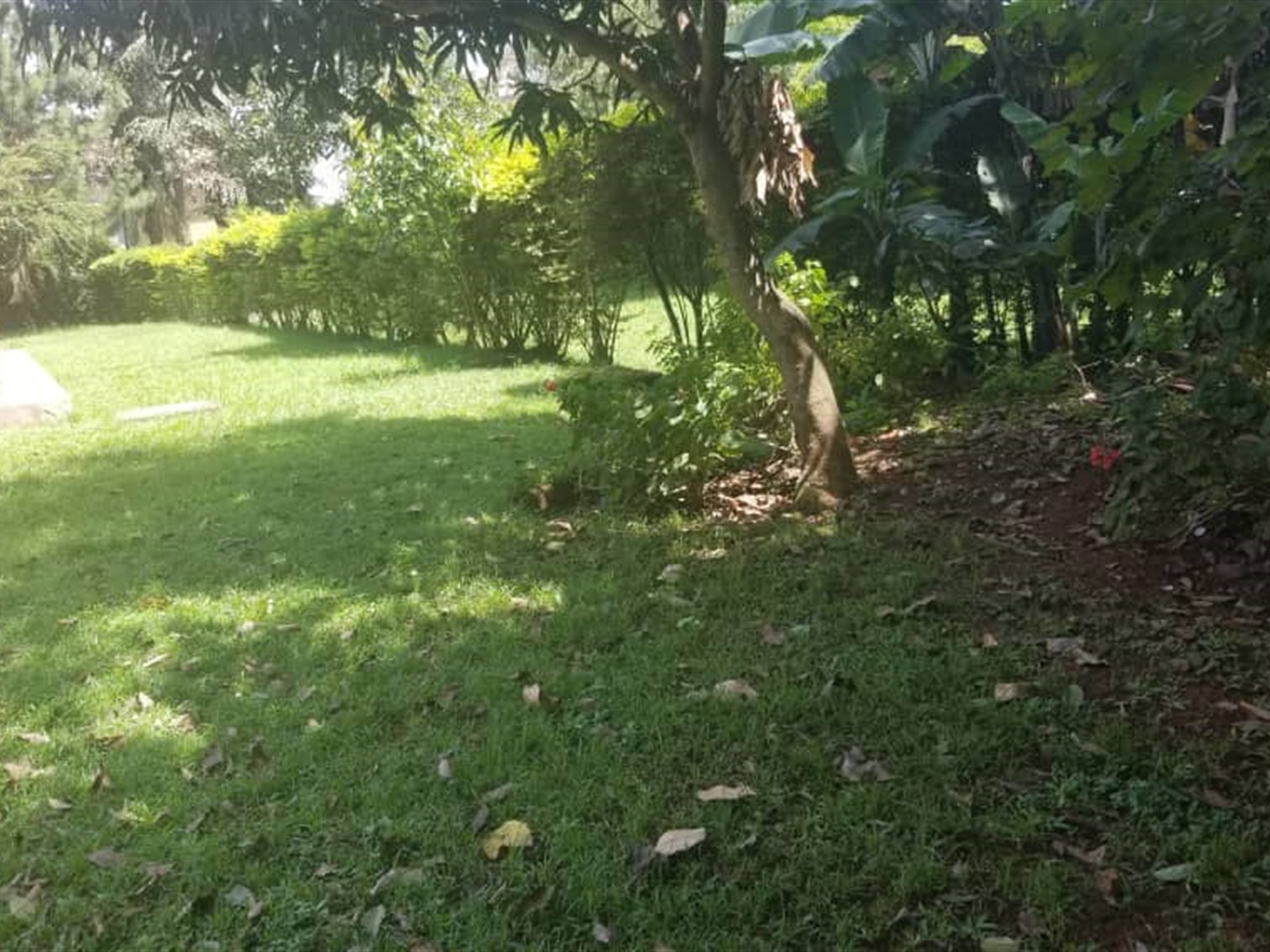 Residential Land for sale in Lubowa Wakiso