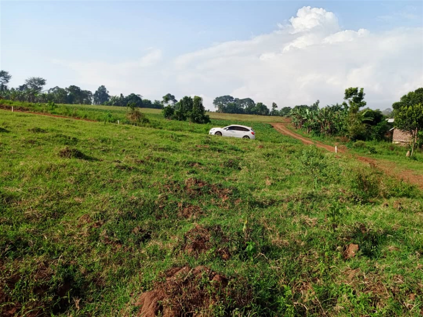 Residential Land for sale in Gayaza Wakiso