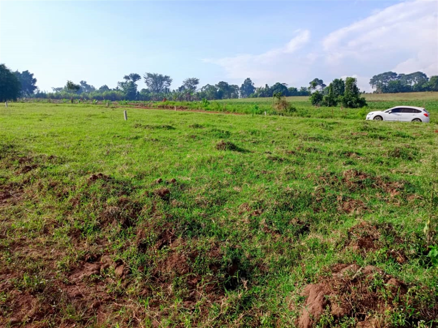 Residential Land for sale in Gayaza Wakiso