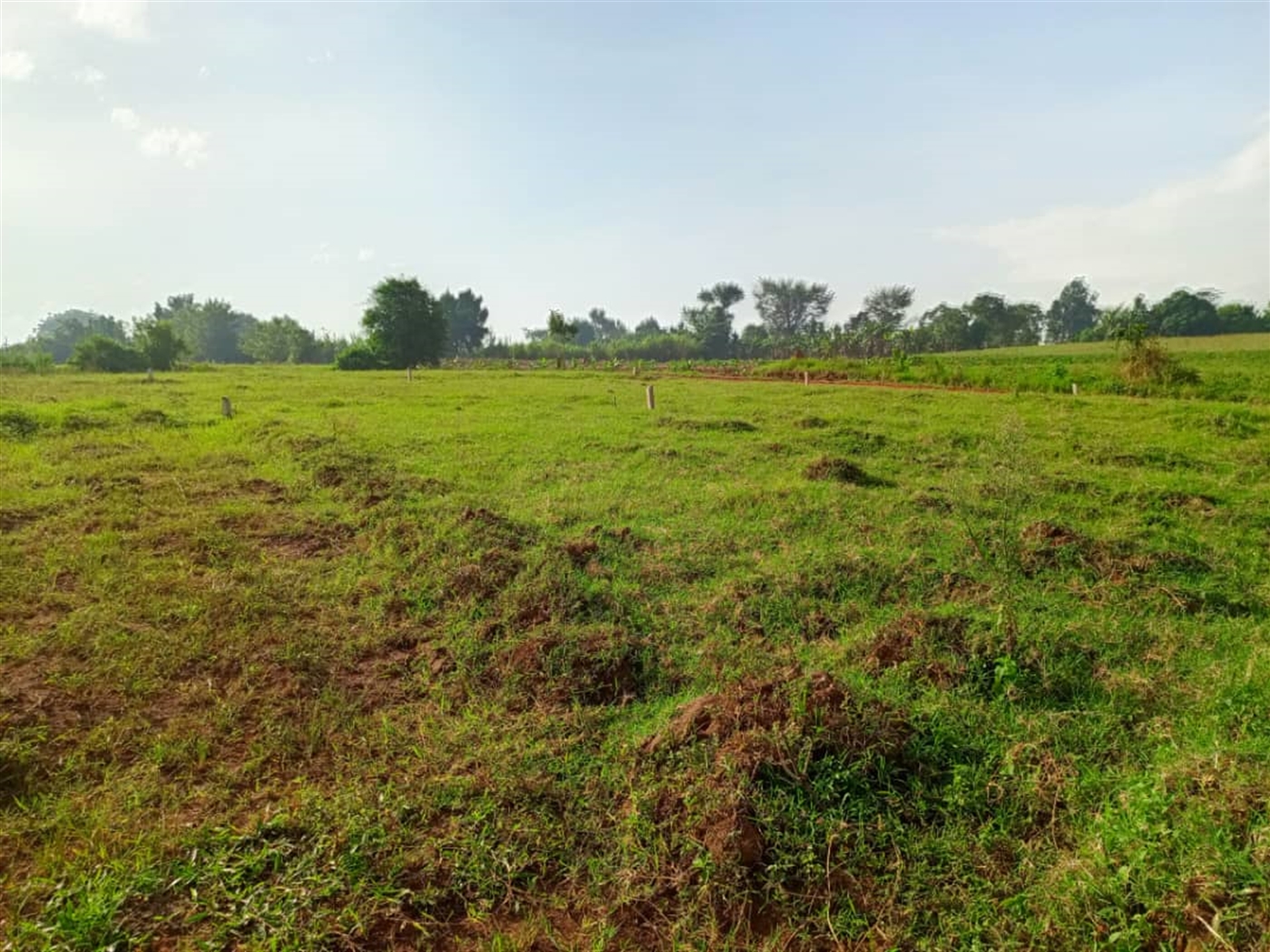 Residential Land for sale in Gayaza Wakiso