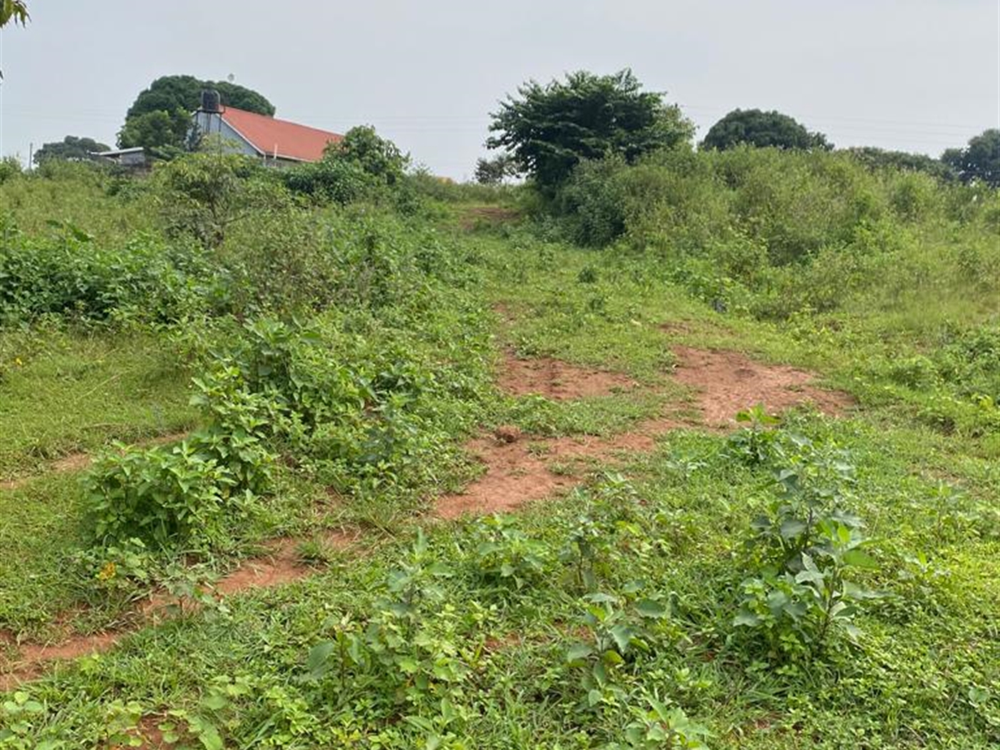 Residential Land for sale in Katabi Wakiso