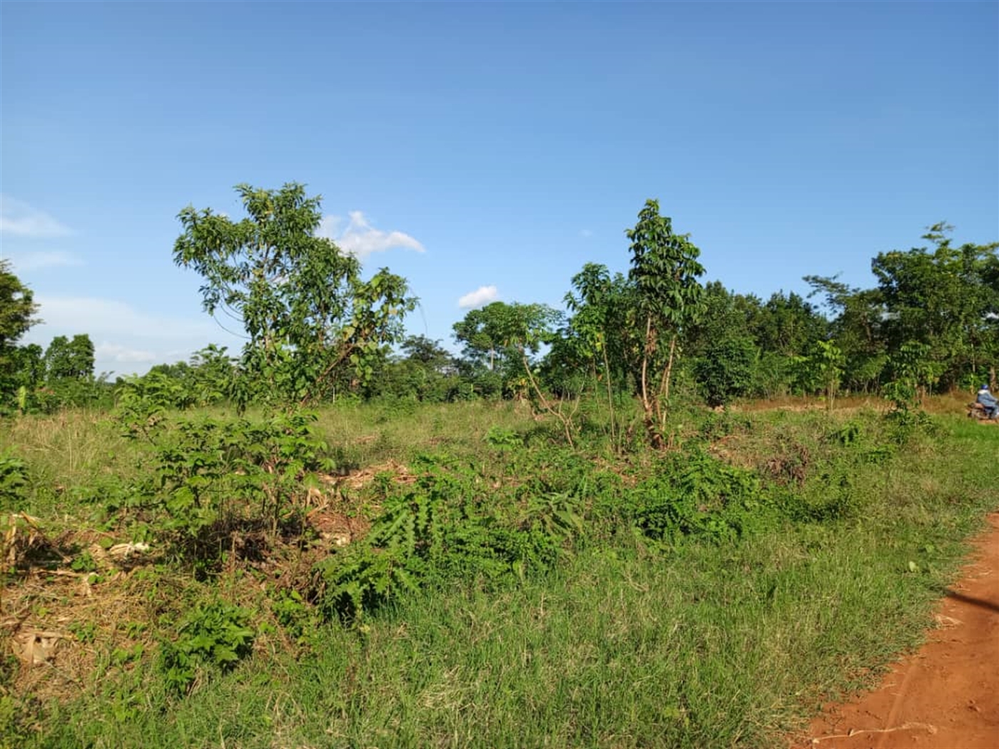 Residential Land for sale in Gayaza Wakiso