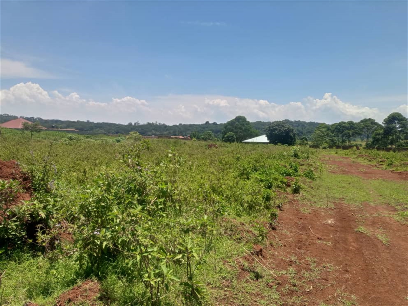 Residential Land for sale in Garuga Wakiso