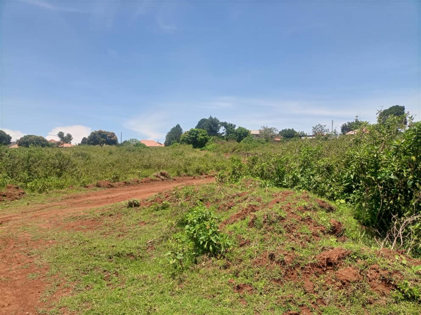 Residential Land for sale in Garuga Wakiso