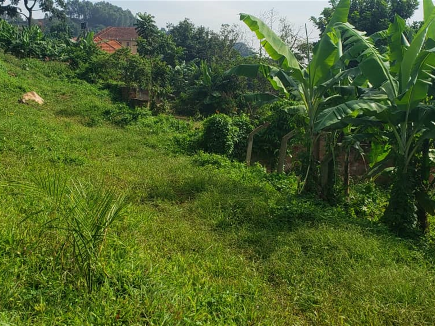 Residential Land for sale in Zanabunamwaya Wakiso