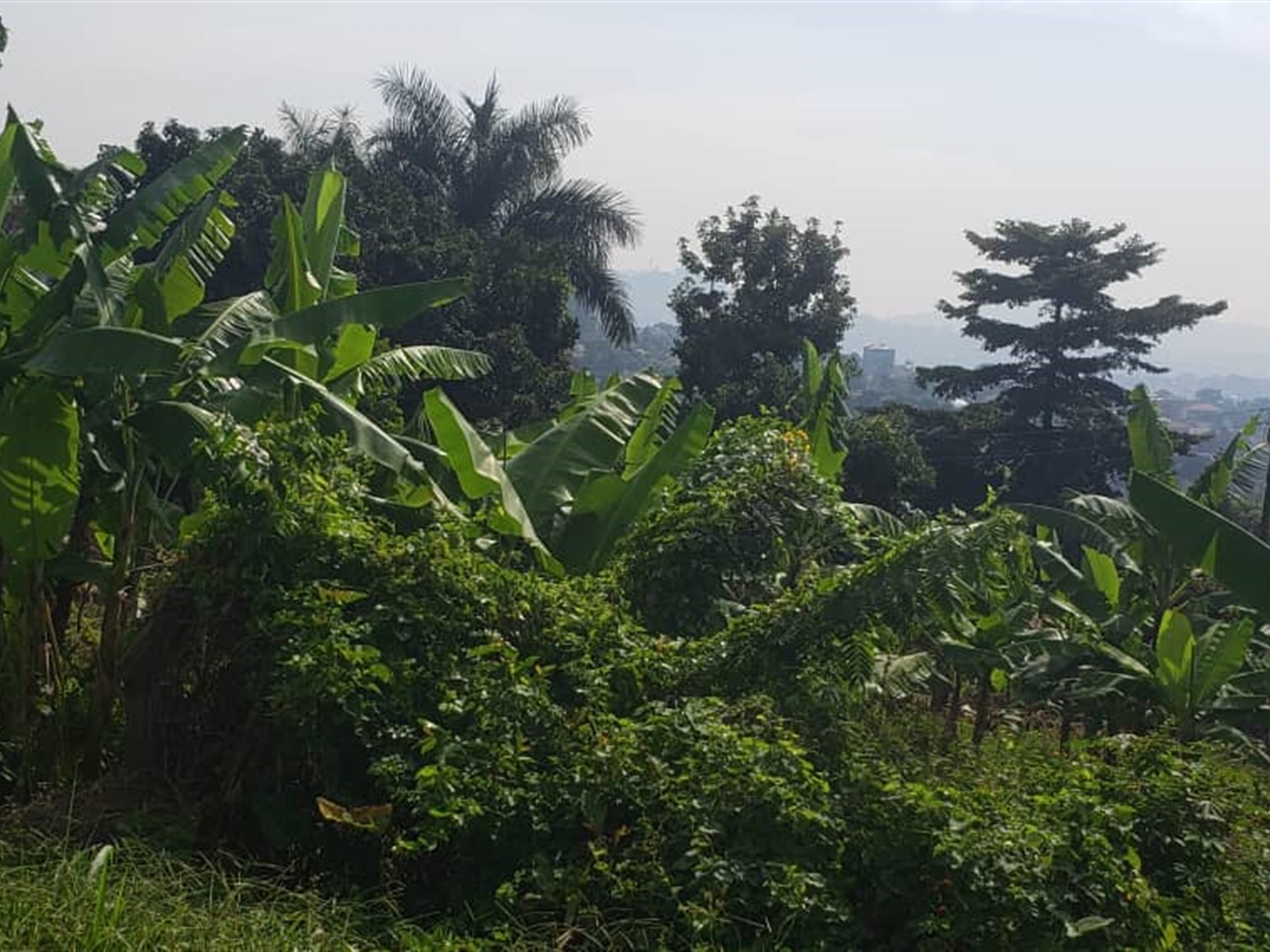 Residential Land for sale in Zanabunamwaya Wakiso