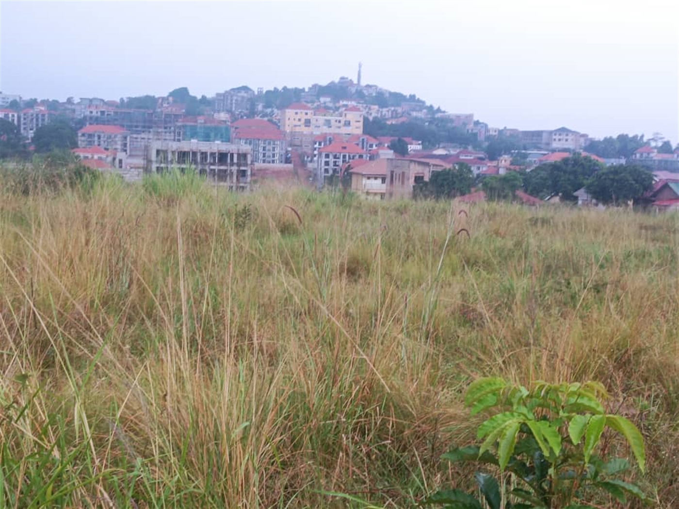 Residential Land for sale in Kyanja Kampala