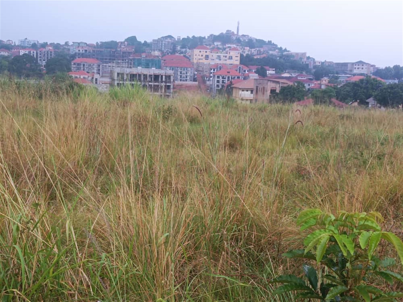 Residential Land for sale in Kyanja Kampala