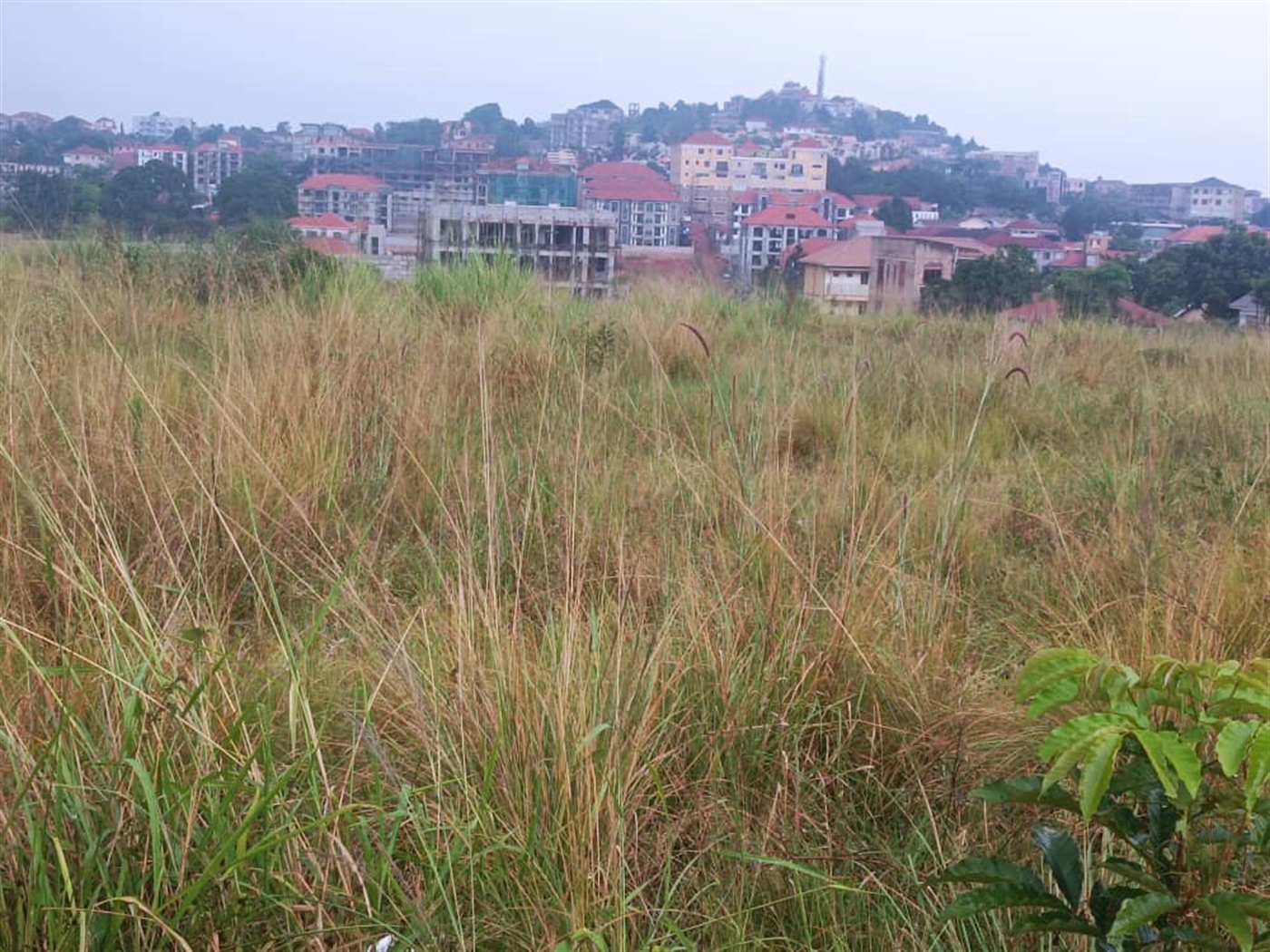 Residential Land for sale in Kyanja Kampala