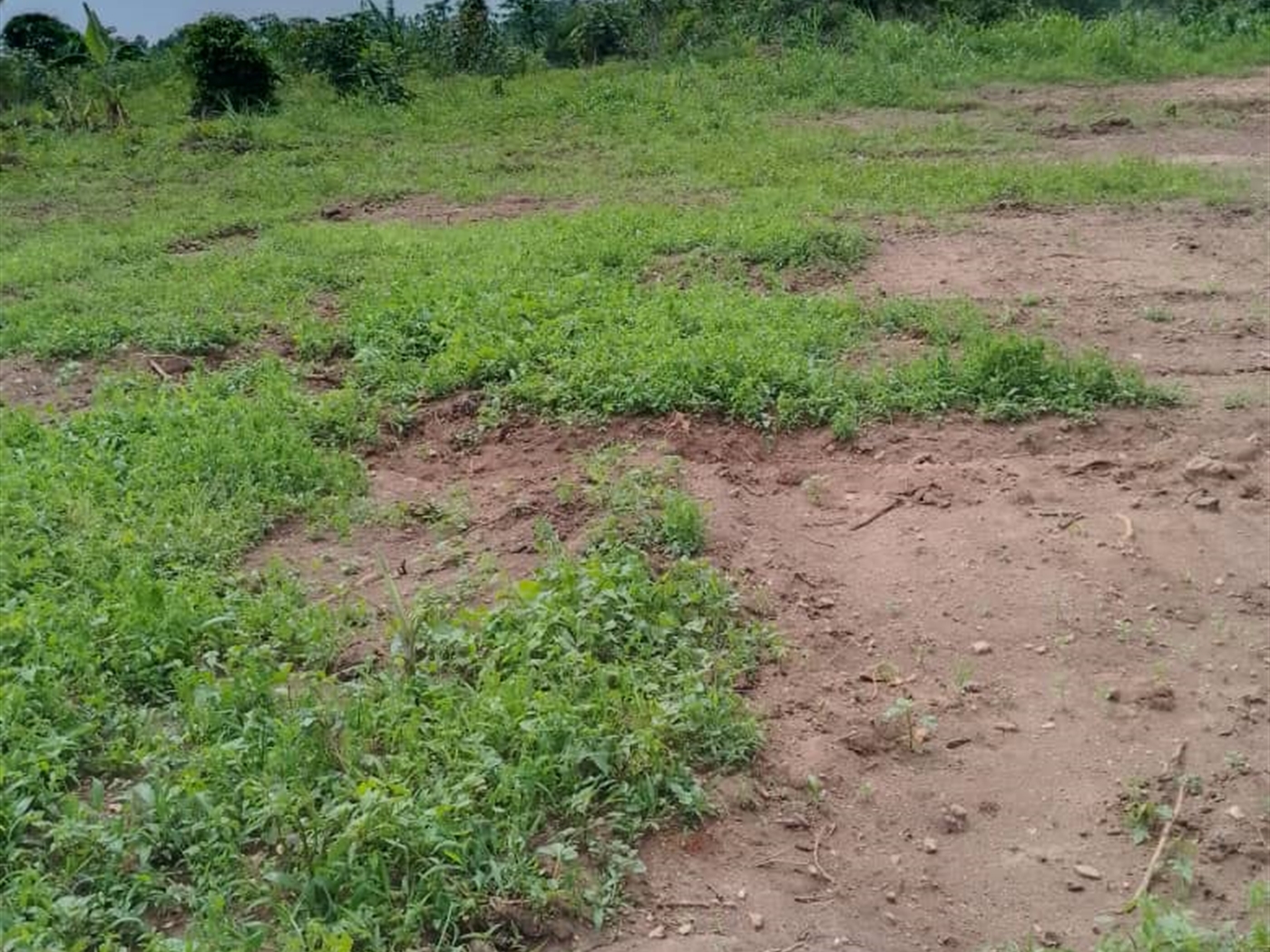 Residential Land for sale in Gayaza Wakiso