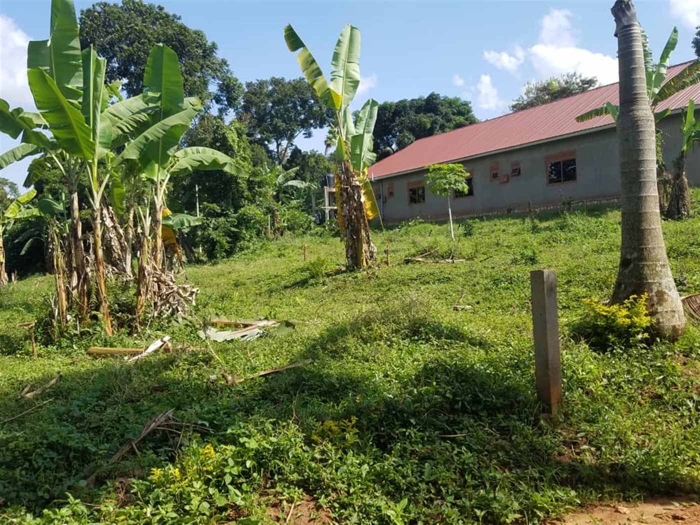 Residential Land for sale in Kasangati Wakiso