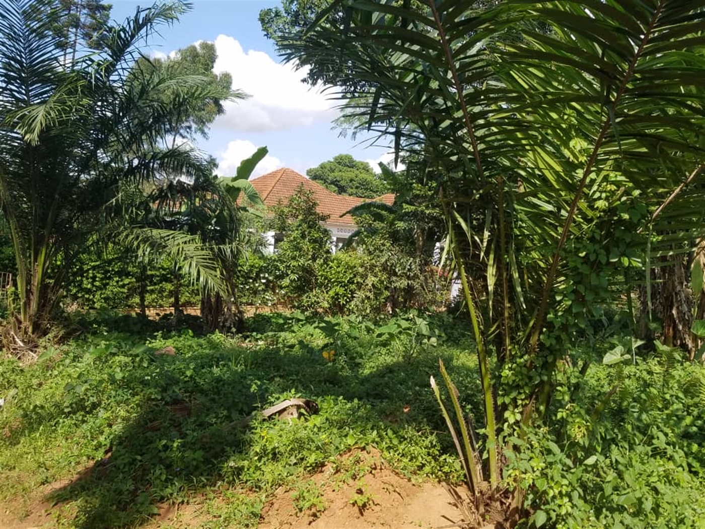 Residential Land for sale in Kasangati Wakiso