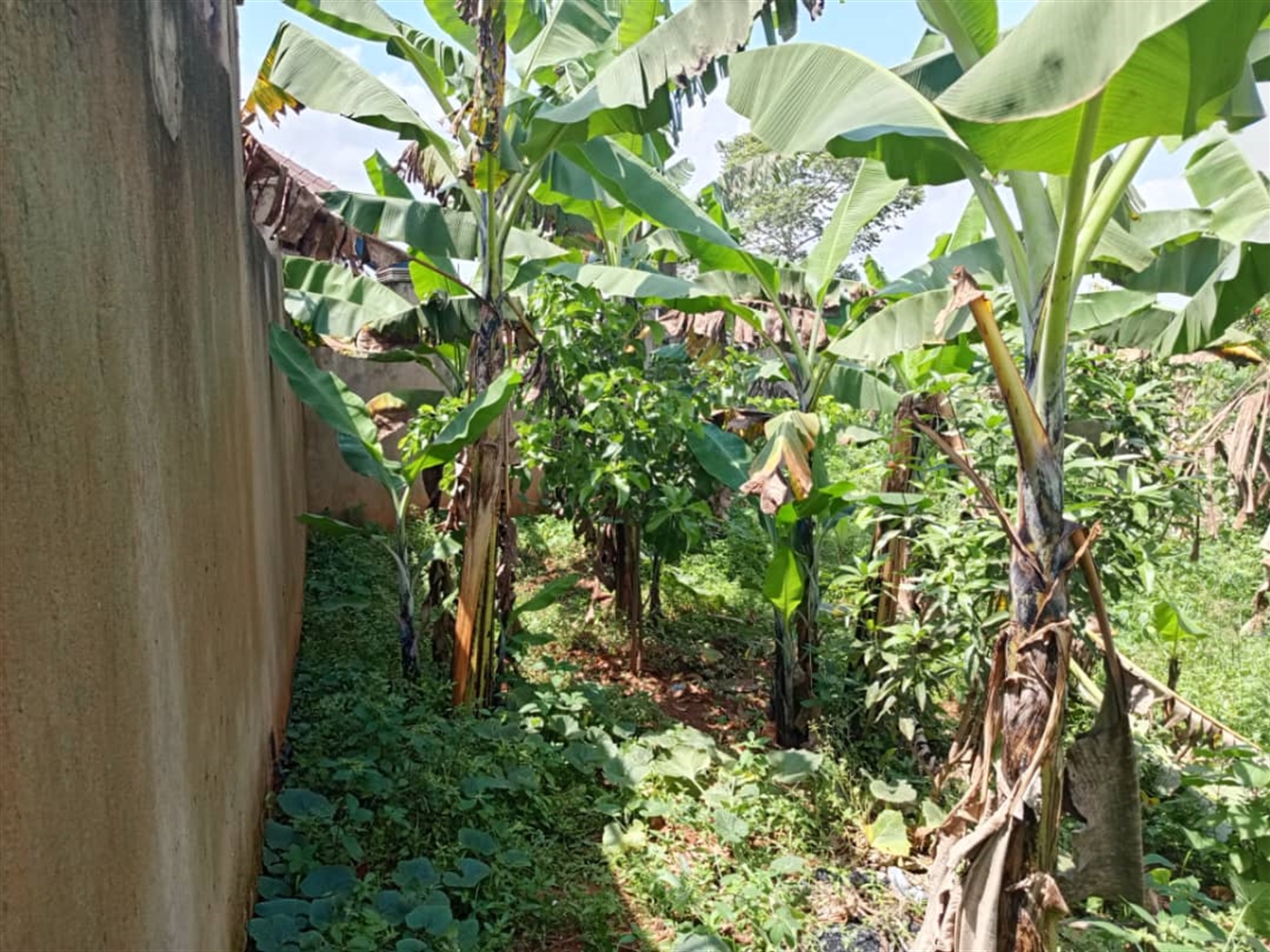 Bungalow for sale in Kiwazzi Wakiso