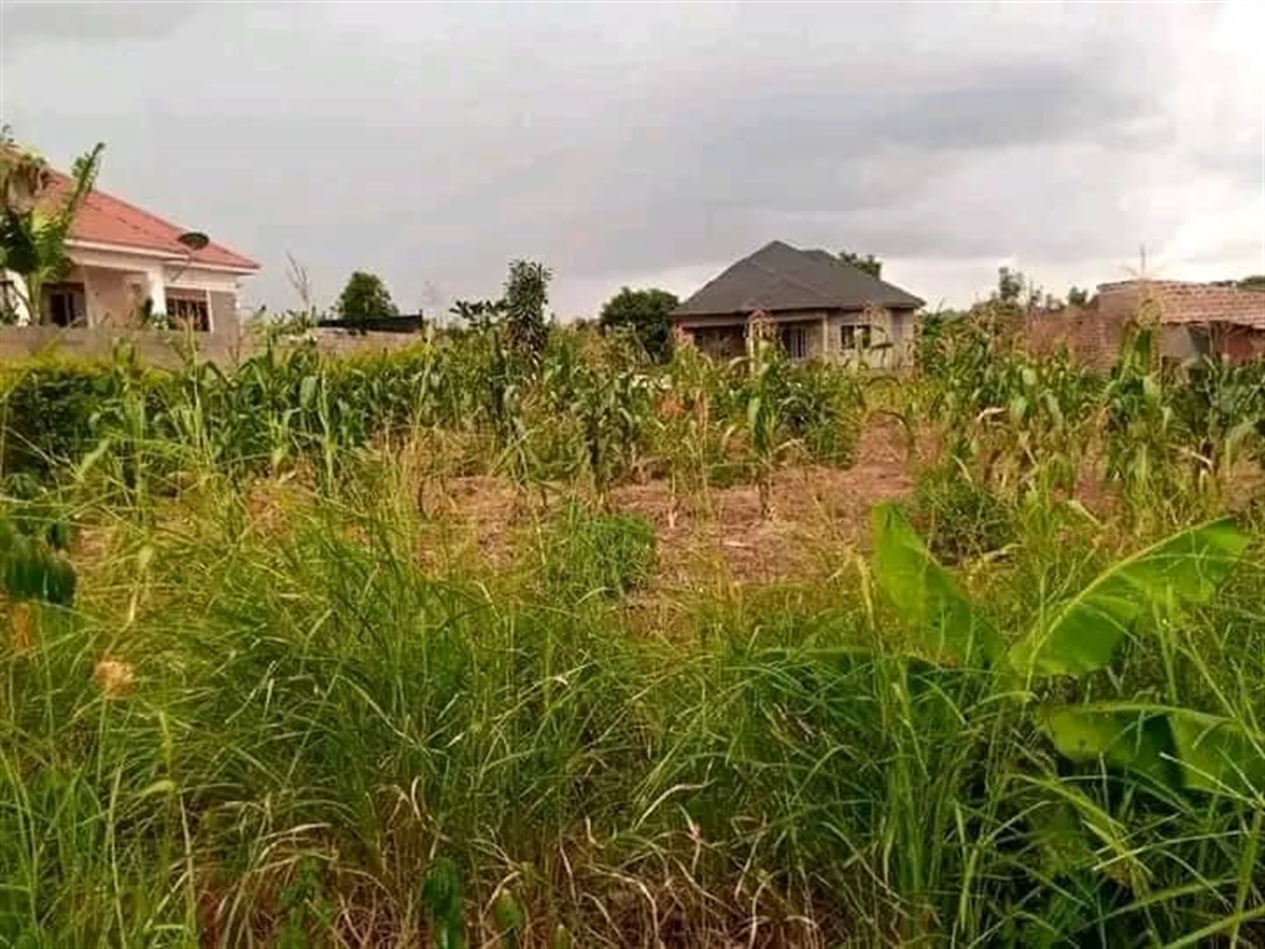 Residential Land for sale in Namugongo Wakiso