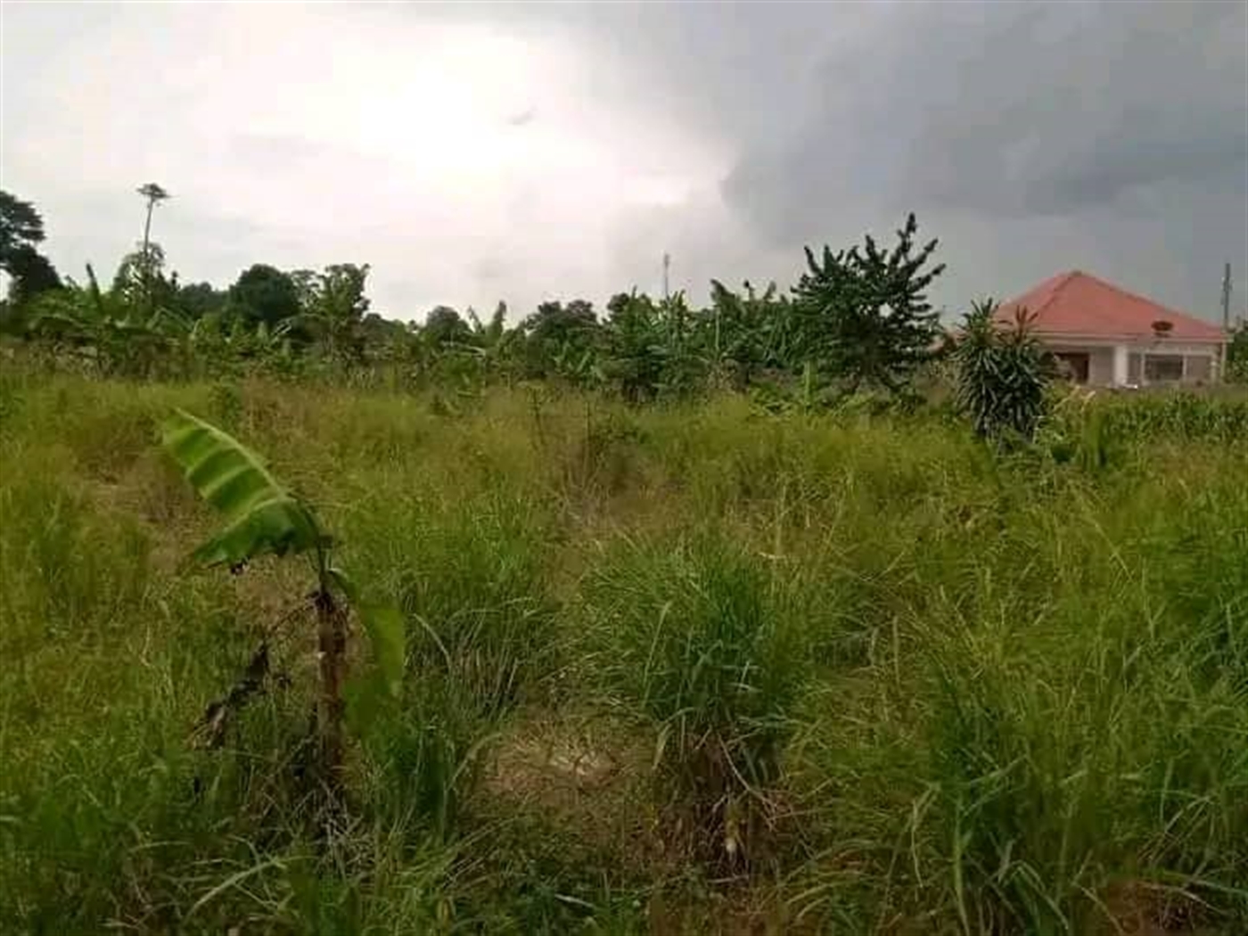 Residential Land for sale in Namugongo Wakiso