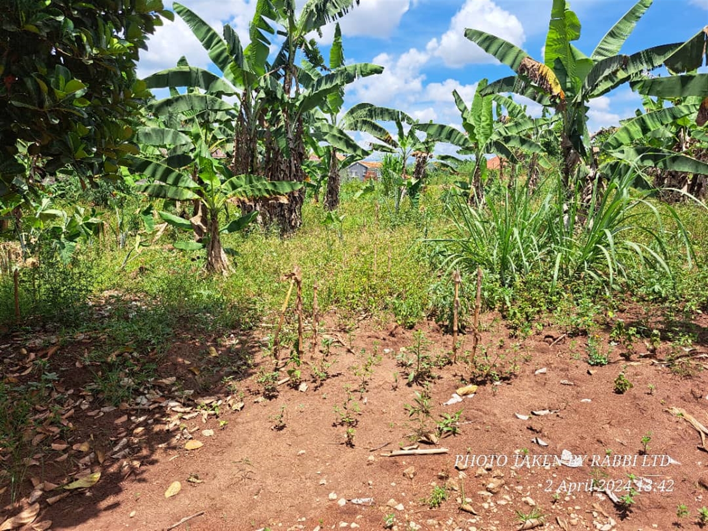 Residential Land for sale in Kitukutwe Wakiso