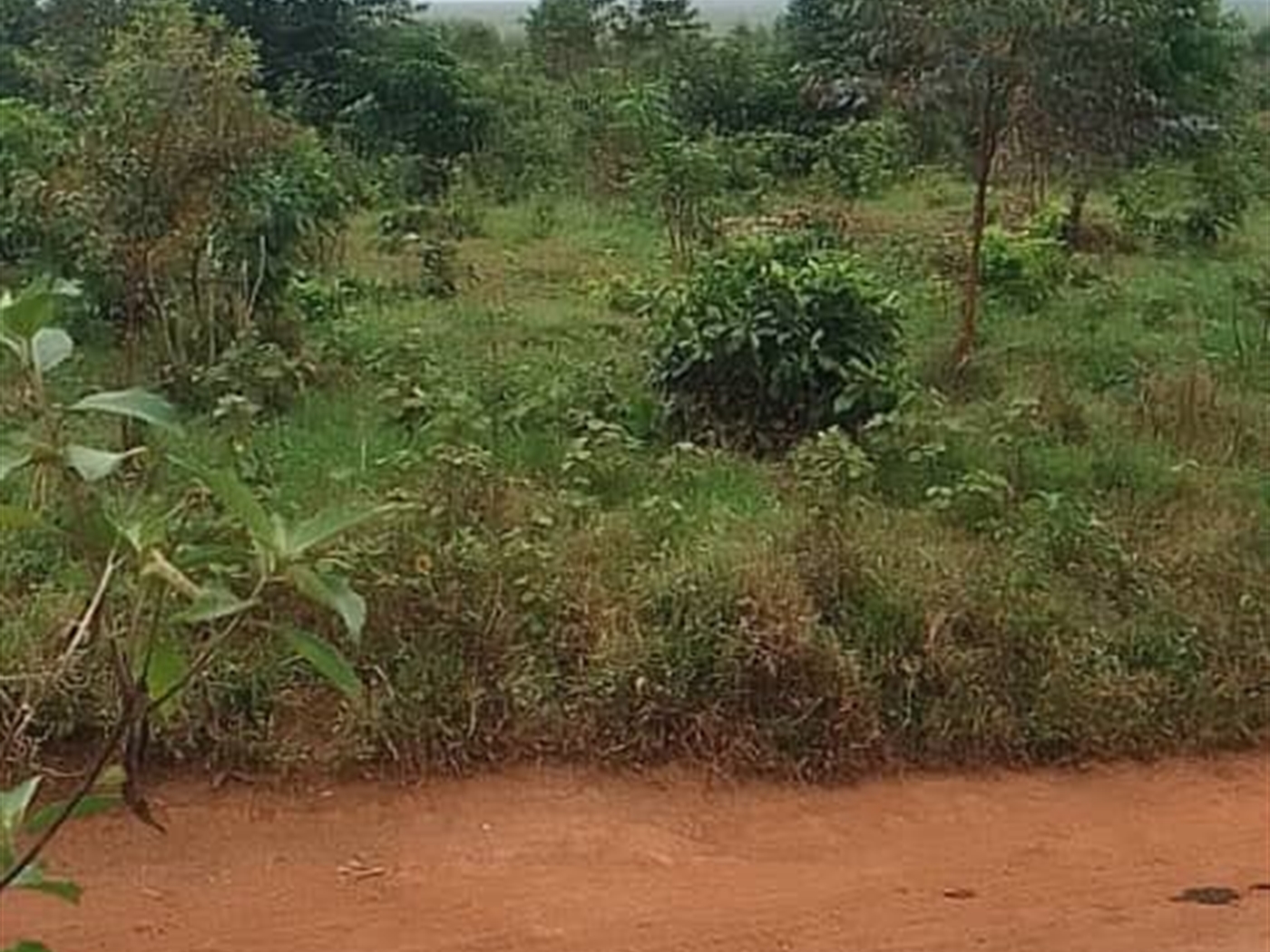 Residential Land for sale in Kasanji Wakiso