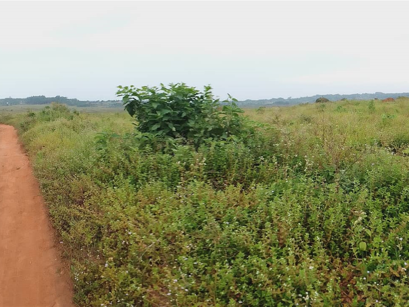 Residential Land for sale in Kasanji Wakiso