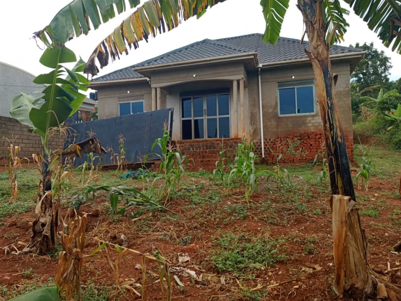 Bungalow for sale in Kkona Wakiso