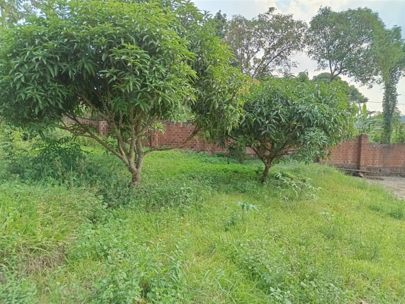 Residential Land for sale in Wantoni Mukono