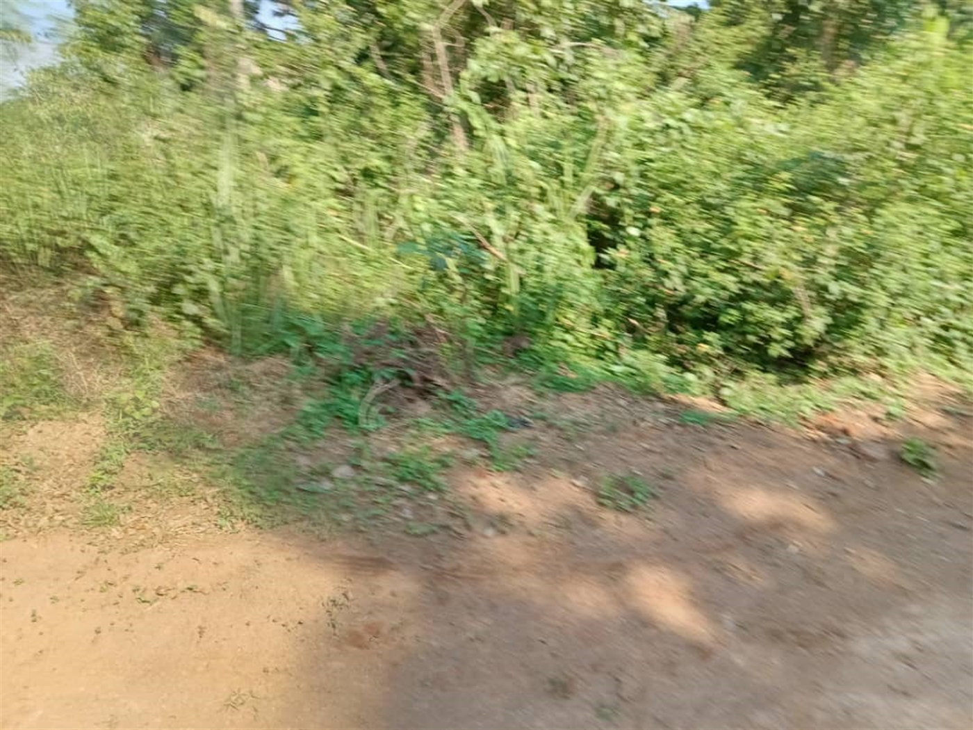 Residential Land for sale in Wantoni Mukono