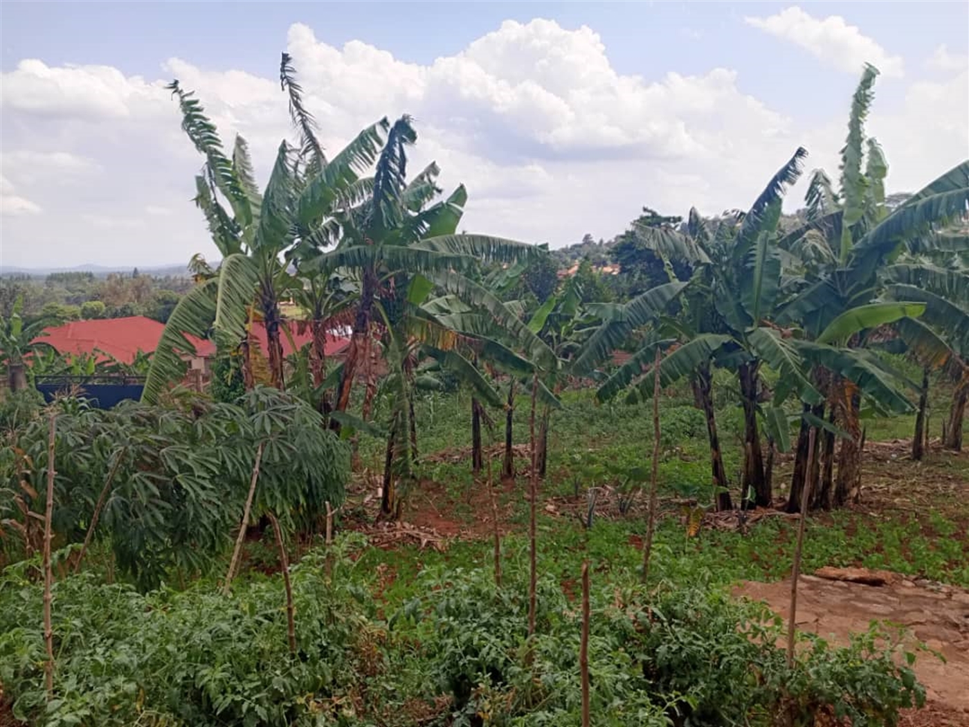 Bungalow for sale in Kikubampaga Wakiso