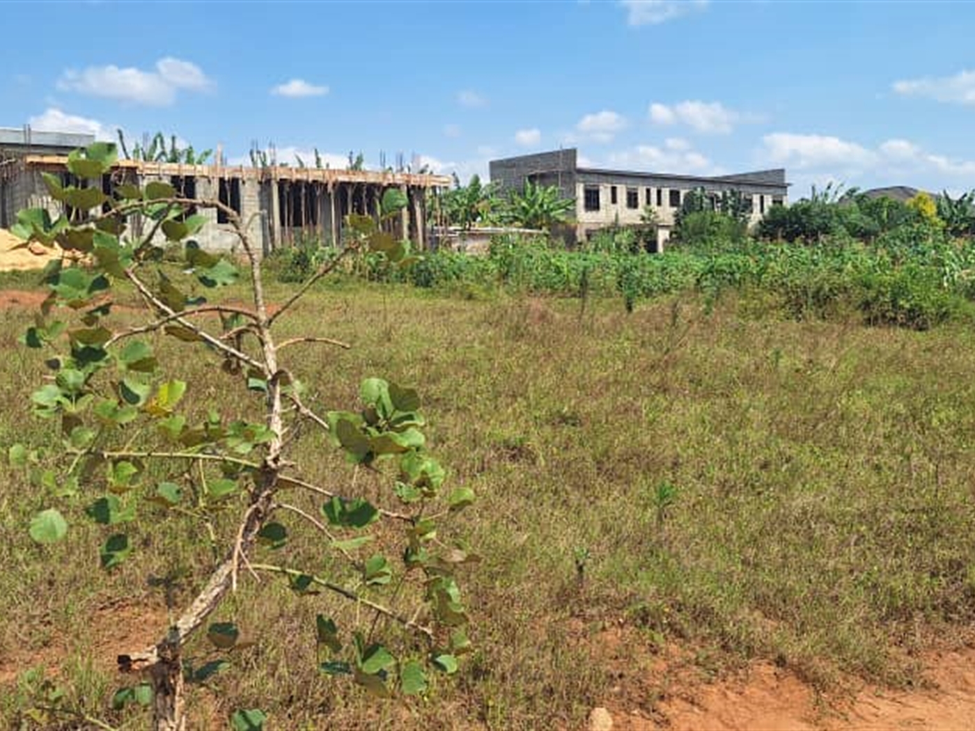 Residential Land for sale in Kiramulawa Wakiso