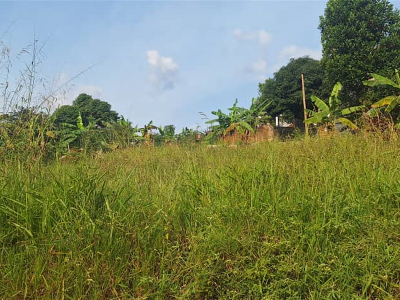 Residential Land for sale in Kyanja Kampala