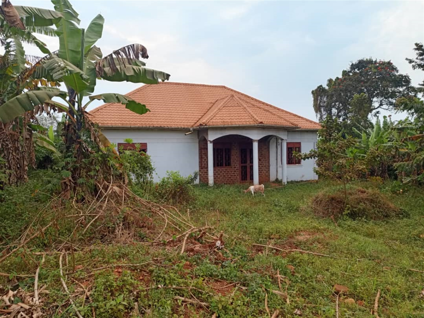 Bungalow for sale in Banda Wakiso