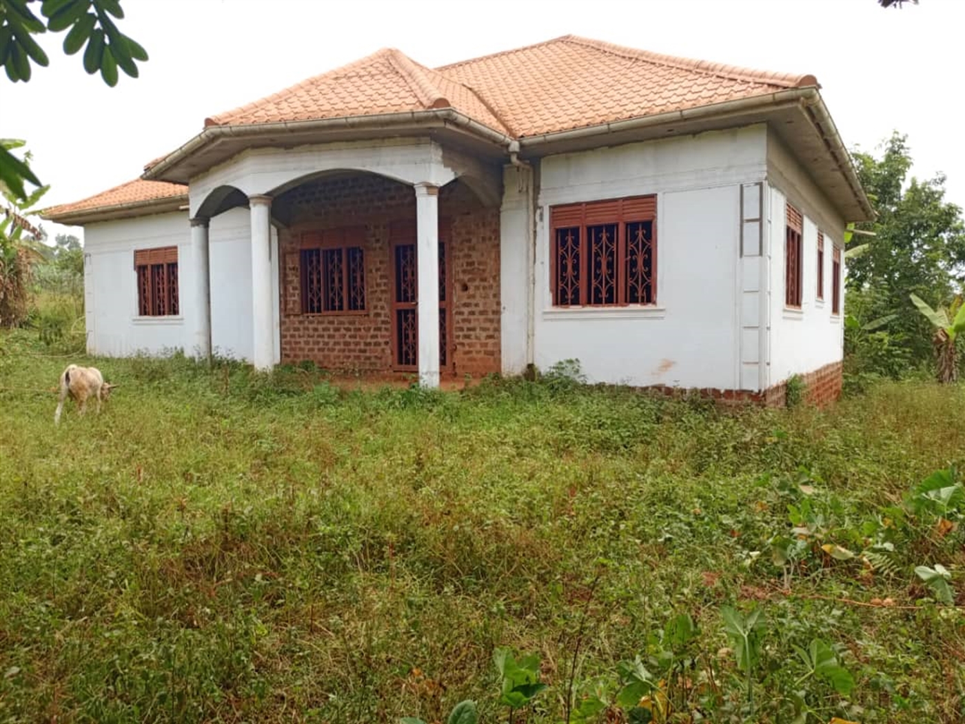 Bungalow for sale in Banda Wakiso