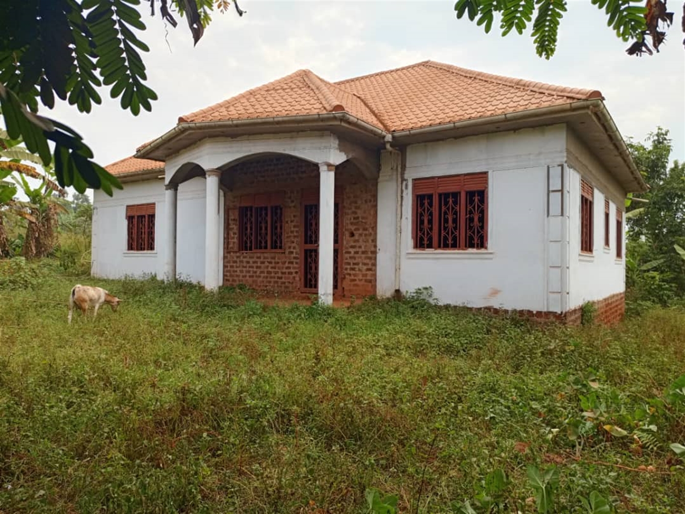 Bungalow for sale in Banda Wakiso