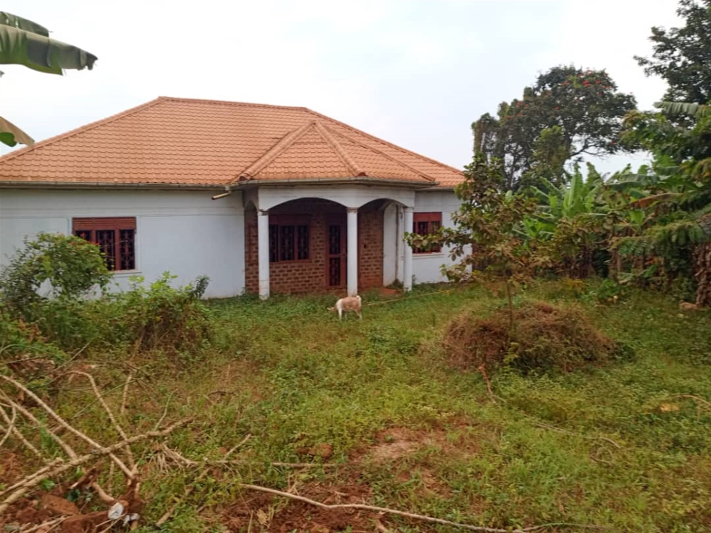 Bungalow for sale in Banda Wakiso