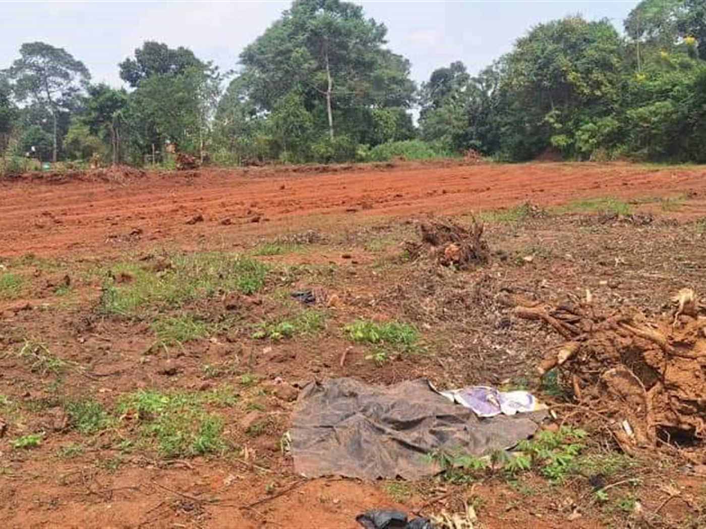 Residential Land for sale in Kiwologoma Wakiso