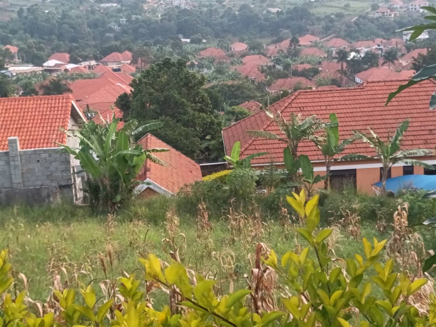 Residential Land for sale in Akright Wakiso