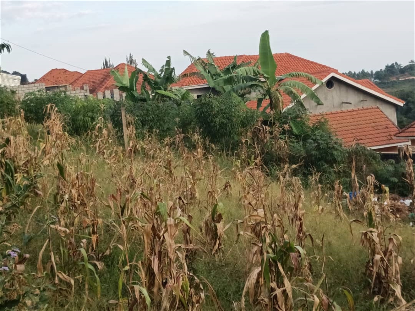 Residential Land for sale in Akright Wakiso