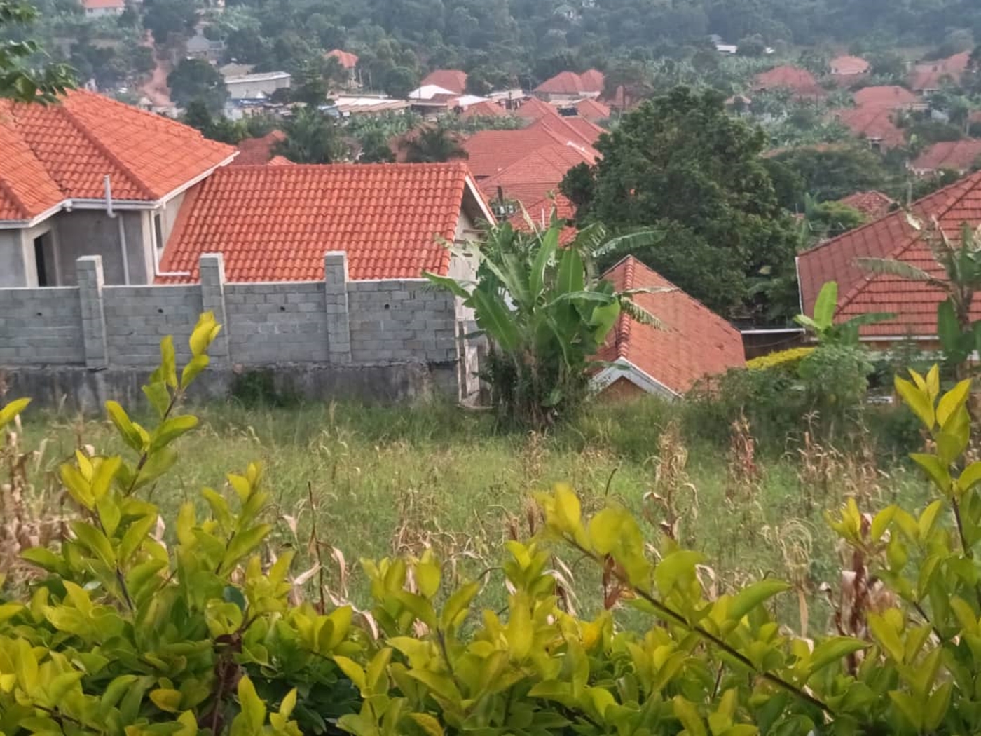 Residential Land for sale in Akright Wakiso