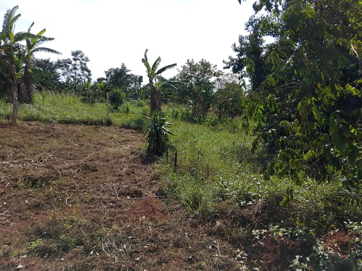 Residential Land for sale in Kijjabiijo Wakiso