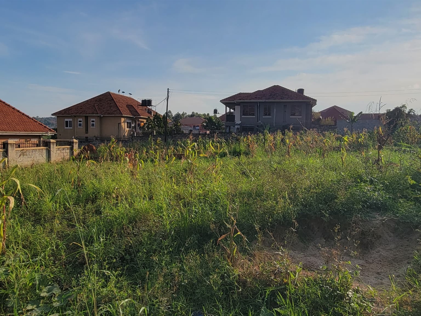 Residential Land for sale in Muyenga Kampala