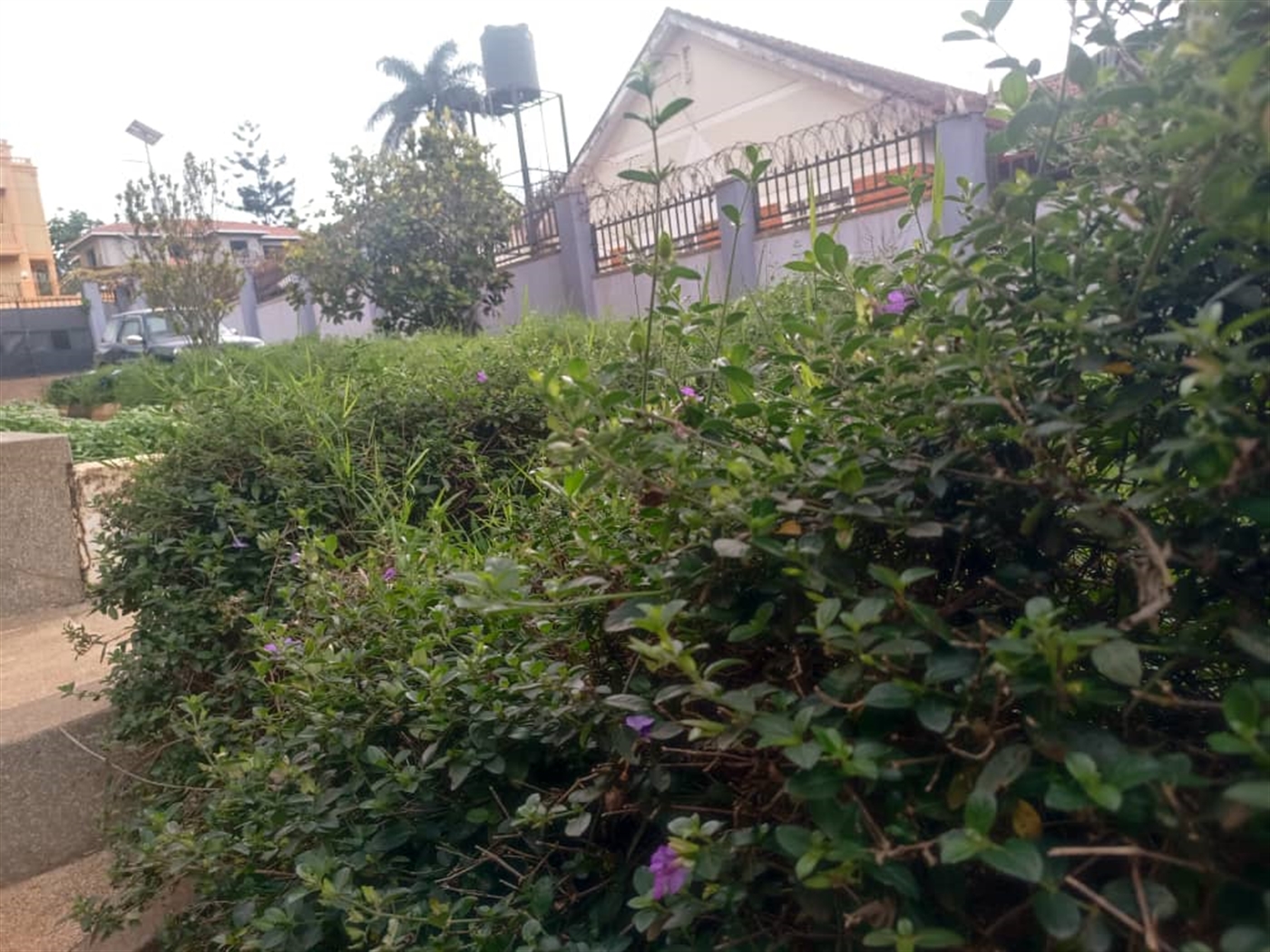 Bungalow for sale in Ntinda Kampala