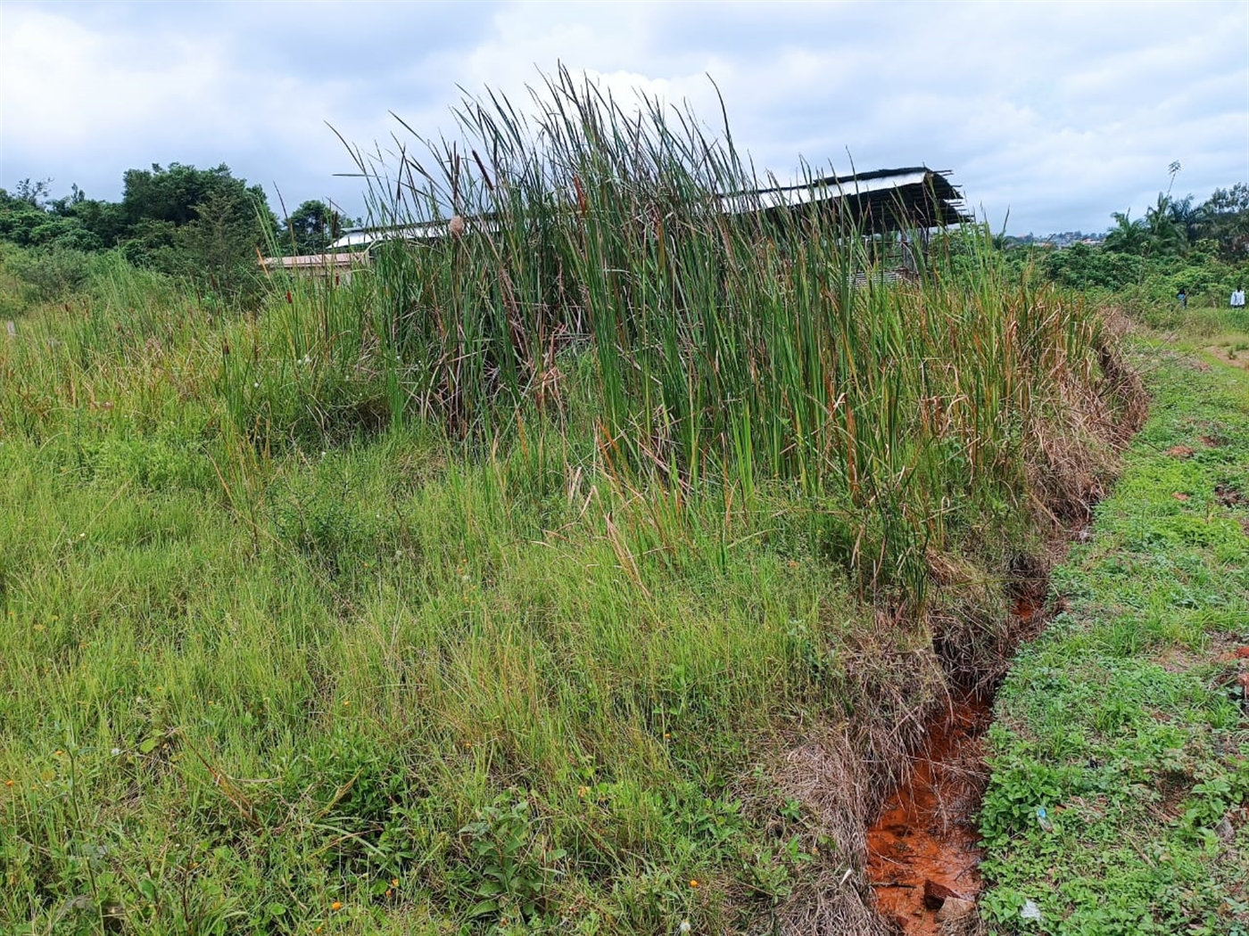 Residential Land for sale in Kira Wakiso