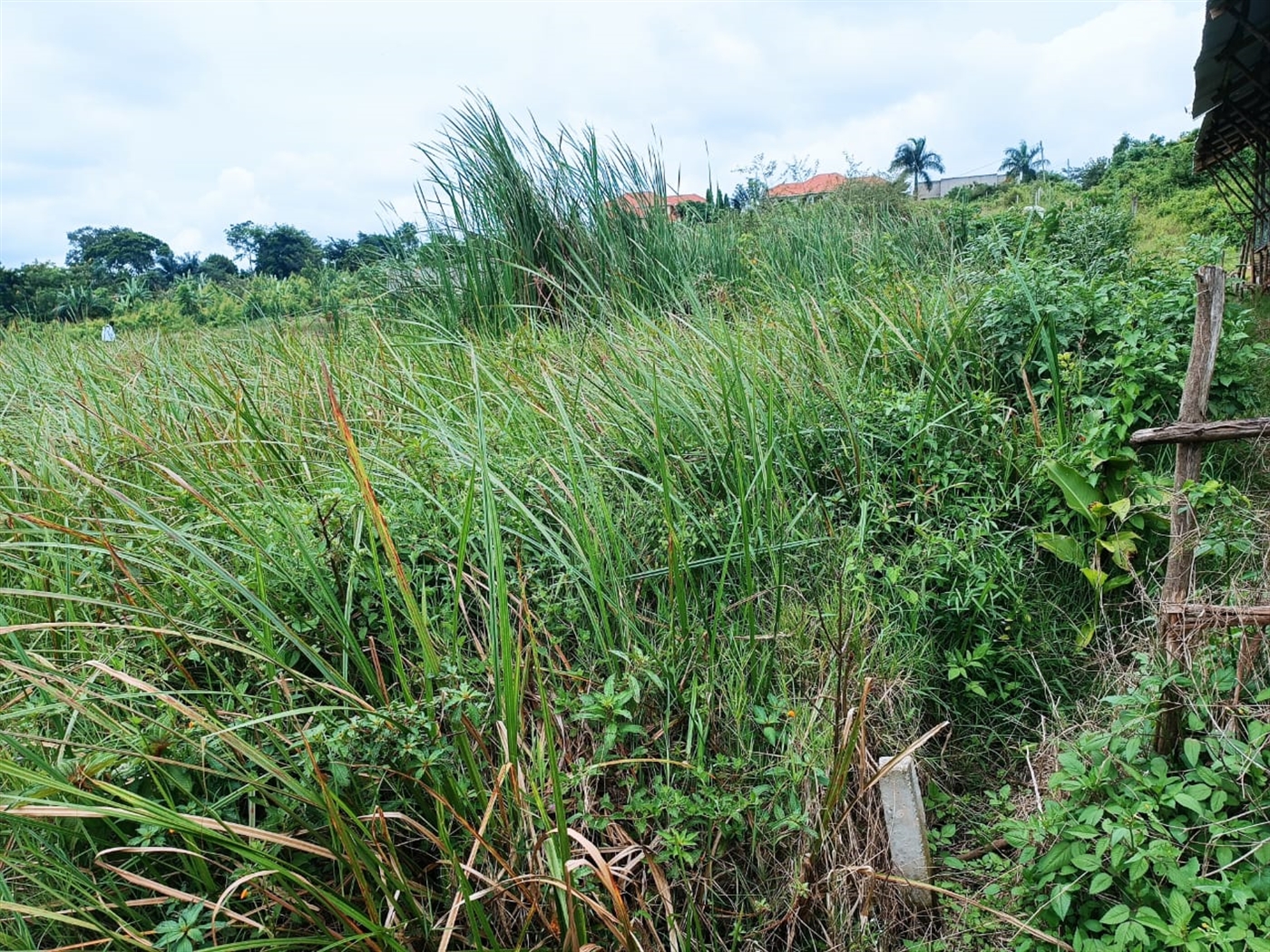 Residential Land for sale in Kira Wakiso