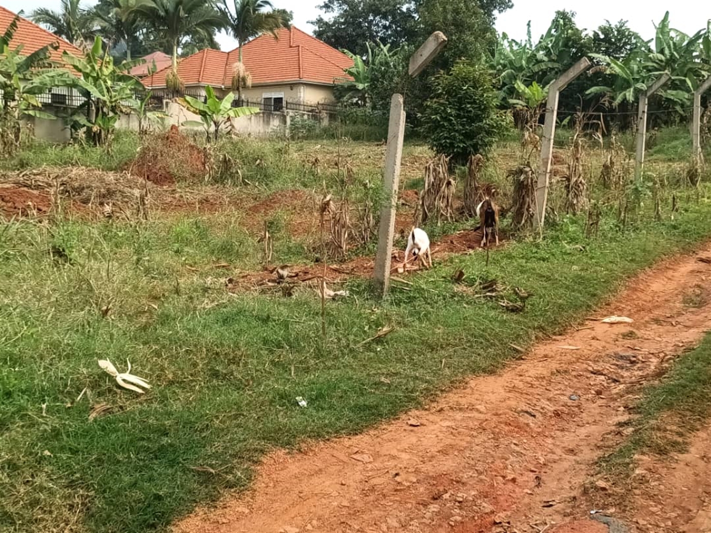 Residential Land for sale in Kitende Wakiso